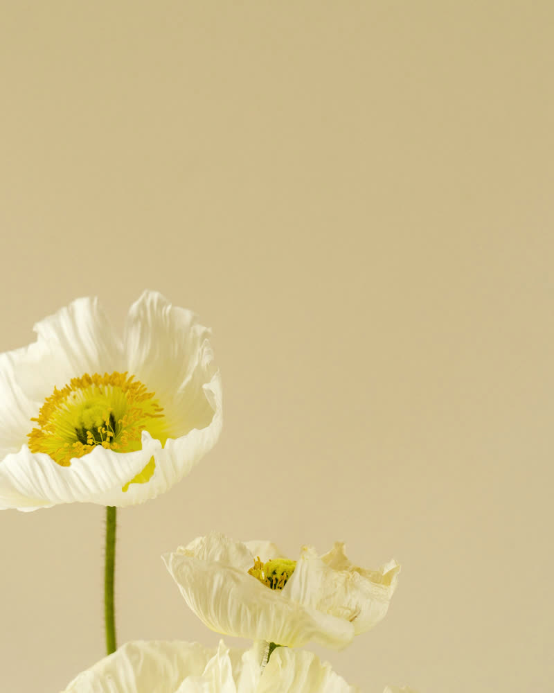 Frosted Vase